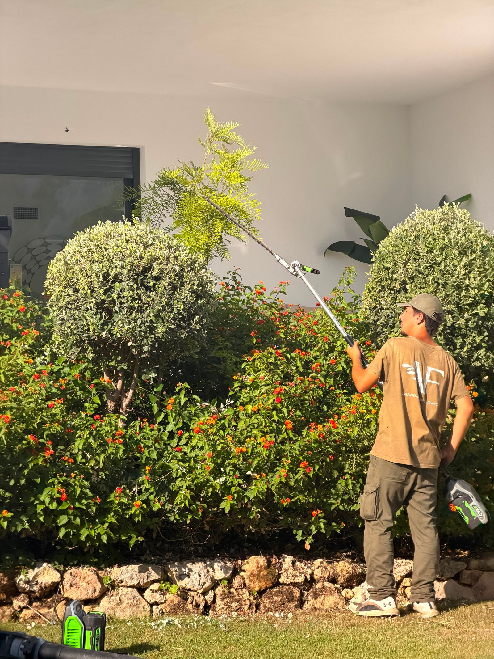 Garden Maintenance